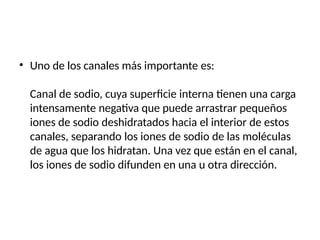 • Uno de los canales más importante es:
Canal de sodio, cuya superficie interna tienen una carga
intensamente negativa que puede arrastrar pequeños
iones de sodio deshidratados hacia el interior de estos
canales, separando los iones de sodio de las moléculas
de agua que los hidratan. Una vez que están en el canal,
los iones de sodio difunden en una u otra dirección.
 
