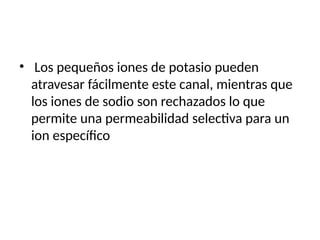 • Los pequeños iones de potasio pueden
atravesar fácilmente este canal, mientras que
los iones de sodio son rechazados lo que
permite una permeabilidad selectiva para un
ion específico
 