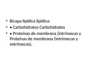 • Bicapa lipídica lipídica:
• • Carbohidratos Carbohidratos
• • Proteínas de membrana (intrínsecas y
Proteínas de membrana (intrínsecas y
extrínsecas).
 