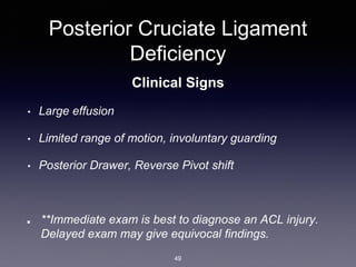 2A Knee Injuries.pdf