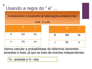 +
    Usando a regra do “ e” ...
     Considerando o cruzamento de heterozigotos amarelo e liso:

                           VvRr X VvRr
                 V         v                          R           r

      V         VV        Vv               R         RR           Rr

       v        Vv        vv                r        Rr           rr

Vamos calcular a probabilidade de obtermos sementes
amarelas e lisas, já que se trata de eventos independentes.

     ¾ - amarela e ¾ - lisa
 