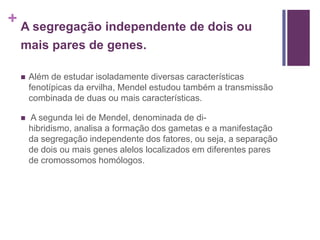 + A segregação independente de dois ou
 mais pares de genes.

    Além de estudar isoladamente diversas características
     fenotípicas da ervilha, Mendel estudou também a transmissão
     combinada de duas ou mais características.

    A segunda lei de Mendel, denominada de di-
     hibridismo, analisa a formação dos gametas e a manifestação
     da segregação independente dos fatores, ou seja, a separação
     de dois ou mais genes alelos localizados em diferentes pares
     de cromossomos homólogos.
 