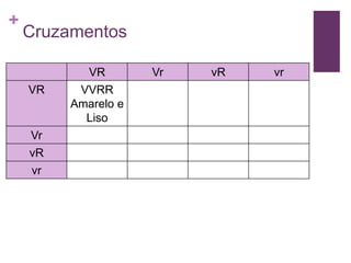 +
    Cruzamentos

           VR        Vr   vR   vr
    VR    VVRR
         Amarelo e
           Liso
    Vr
    vR
    vr
 