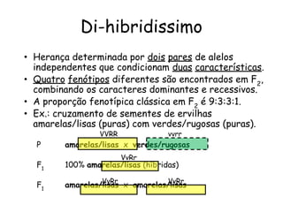 Di-hibridissimo
• Herança determinada por dois pares de alelos
independentes que condicionam duas características.
• Quatro fenótipos diferentes são encontrados em F2
,
combinando os caracteres dominantes e recessivos.
• A proporção fenotípica clássica em F2
é 9:3:3:1.
• Ex.: cruzamento de sementes de ervilhas
amarelas/lisas (puras) com verdes/rugosas (puras).
P amarelas/lisas x verdes/rugosas
F1
100% amarelas/lisas (híbridas)
F1
amarelas/lisas x amarelas/lisas
VVRR vvrr
VvRr
VvRr VvRr
 