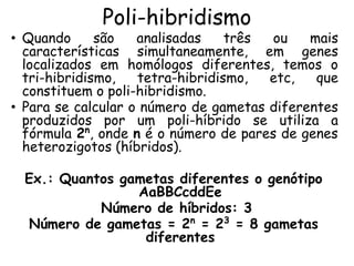 Poli-hibridismo
• Quando são analisadas três ou mais
características simultaneamente, em genes
localizados em homólogos diferentes, temos o
tri-hibridismo, tetra-hibridismo, etc, que
constituem o poli-hibridismo.
• Para se calcular o número de gametas diferentes
produzidos por um poli-híbrido se utiliza a
fórmula 2n
, onde n é o número de pares de genes
heterozigotos (híbridos).
Ex.: Quantos gametas diferentes o genótipo
AaBBCcddEe
Número de híbridos: 3
Número de gametas = 2n
= 23
= 8 gametas
diferentes
 