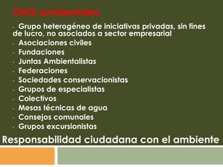 ONG ambientales Grupo heterogéneo de iniciativas privadas, sin fines de lucro, no asociados a sector empresarial