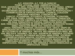 Colectivos