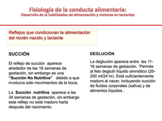 Reflejos que condicionan la alimentación
del recién nacido y lactante
SUCCIÓN
El reflejo de succión aparece
alrededor de las 18 semanas de
gestación, sin embargo es una
“Succión No Nutritiva” debido a que
involucra solo movimientos de la boca.
La Succión nutritiva aparece a las
34 semanas de gestación, sin embargo
este reflejo no está maduro harta
después del nacimiento.
DEGLUCIÓN
La deglución aparece entre las 11-
16 semanas de gestación. Permite
al feto deglutir líquido amniótico (20-
200 ml/24 hr). Está suficientemente
maduro al nacer, incluyendo succión
de fluidos corporales (saliva) y de
alimentos líquidos .
 