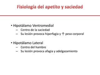 • Hipotálamo Ventromedial
– Centro de la saciedad
– Su lesión provoca hiperfagia y ↑ peso corporal
• Hipotálamo Lateral
– Centro del hambre
– Su lesión provoca afagia y adelgazamiento
 