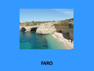 FARO
 