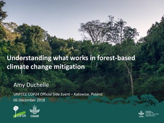 Understanding what works in forest-based
climate change mitigation
Amy Duchelle
UNFCCC COP24 Official Side Event – Katowice, Poland
06 December 2018
 