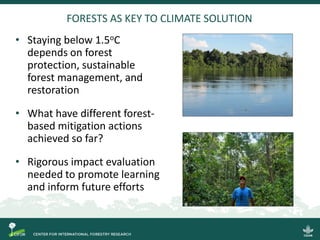 FORESTS AS KEY TO CLIMATE SOLUTION
• Staying below 1.5oC
depends on forest
protection, sustainable
forest management, and
...