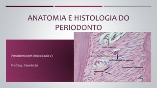 Periodontia pré-clínica (aula 2)
Prof.Esp. Yasmin Sá
ANATOMIA E HISTOLOGIA DO
PERIODONTO
 