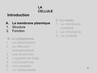 LA
CELLULE
Introduction
A. La membrane plasmique
1. Structure
2. Fonction
B. Le cytoplasme
1. La mitochondrie
2. Le réticulum
endoplasmique
3. Les ribosomes
4. L’appareil de Golgi
5. Les lysosomes
6. Les vacuoles
7. Le cytosquelette
C. Le noyau
1. La membrane
nucléaire
2. La chromatine
3. Le nucléole
11
 