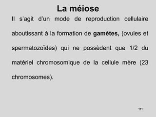 La méiose
Il s’agit d’un mode de reproduction cellulaire
aboutissant à la formation de gamètes, (ovules et
spermatozoïdes) qui ne possèdent que 1/2 du
matériel chromosomique de la cellule mère (23
chromosomes).
111
 