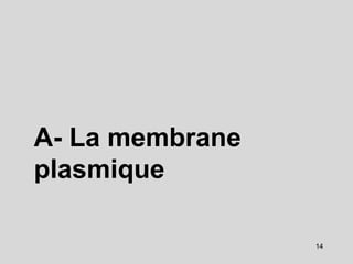 14
A- La membrane
plasmique
 