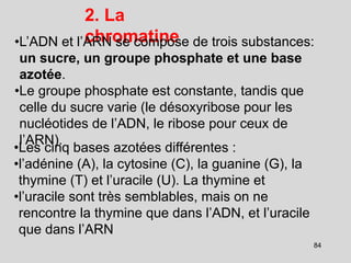 2. La
chromatine
•L’ADN et l’ARN se compose de trois substances:
un sucre, un groupe phosphate et une base
azotée.
•Le groupe phosphate est constante, tandis que
celle du sucre varie (le désoxyribose pour les
nucléotides de l’ADN, le ribose pour ceux de
l’ARN).
84
•Les cinq bases azotées différentes :
•l’adénine (A), la cytosine (C), la guanine (G), la
thymine (T) et l’uracile (U). La thymine et
•l’uracile sont très semblables, mais on ne
rencontre la thymine que dans l’ADN, et l’uracile
que dans l’ARN
 