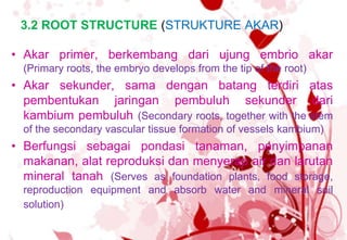 2 ANATOMI TUMBUHAN BERBUNGA.ppt