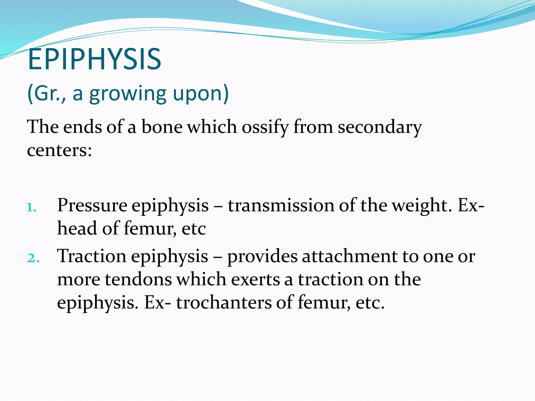 Anatomy of Bone and Cartilage | PPT