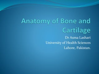 Dr Asma Lashari
University of Health Sciences
Lahore, Pakistan.
 
