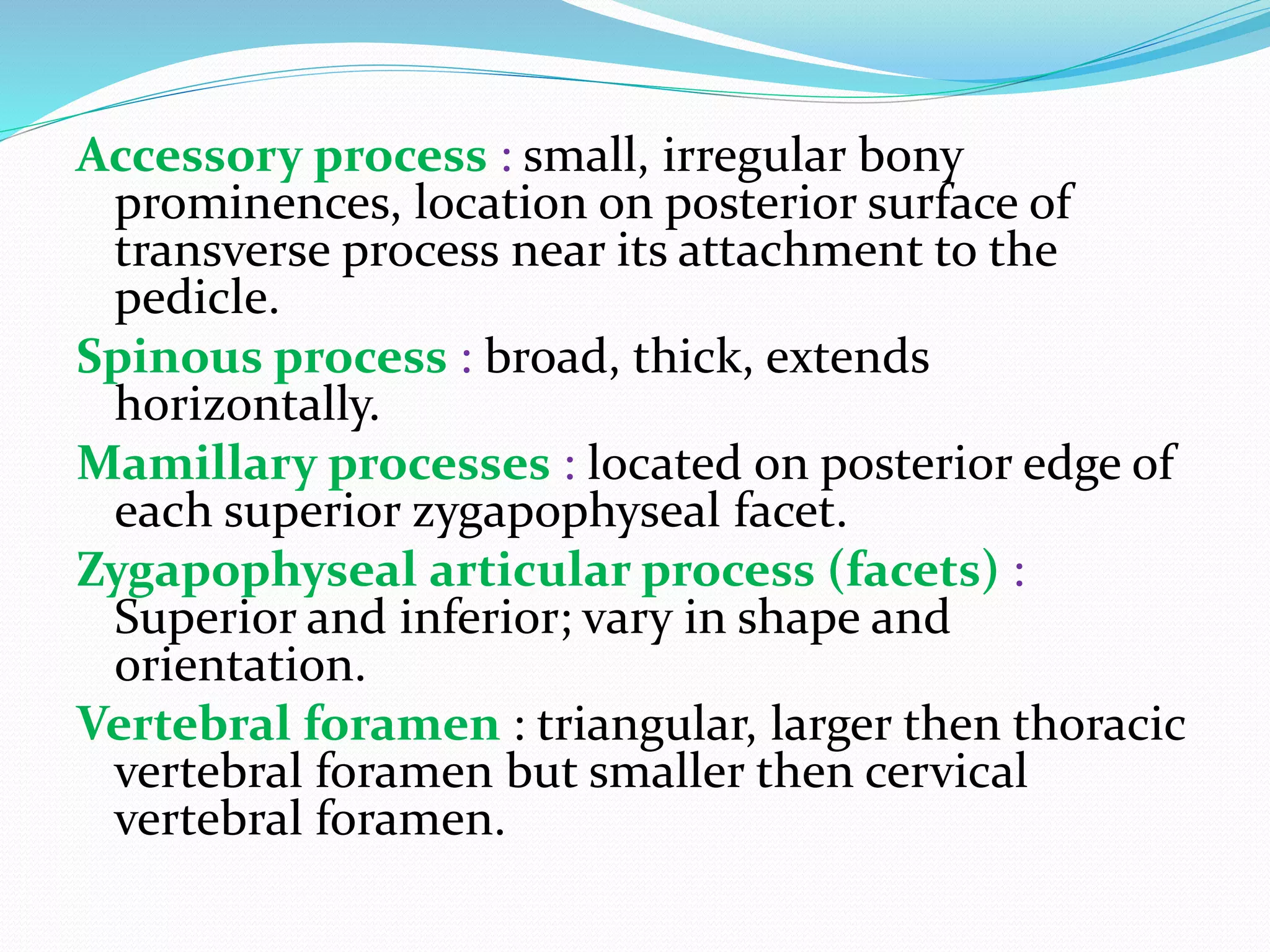 Process Bony Prominence Anatomy of lumber spine Nishant kumar gaurav | PPTX