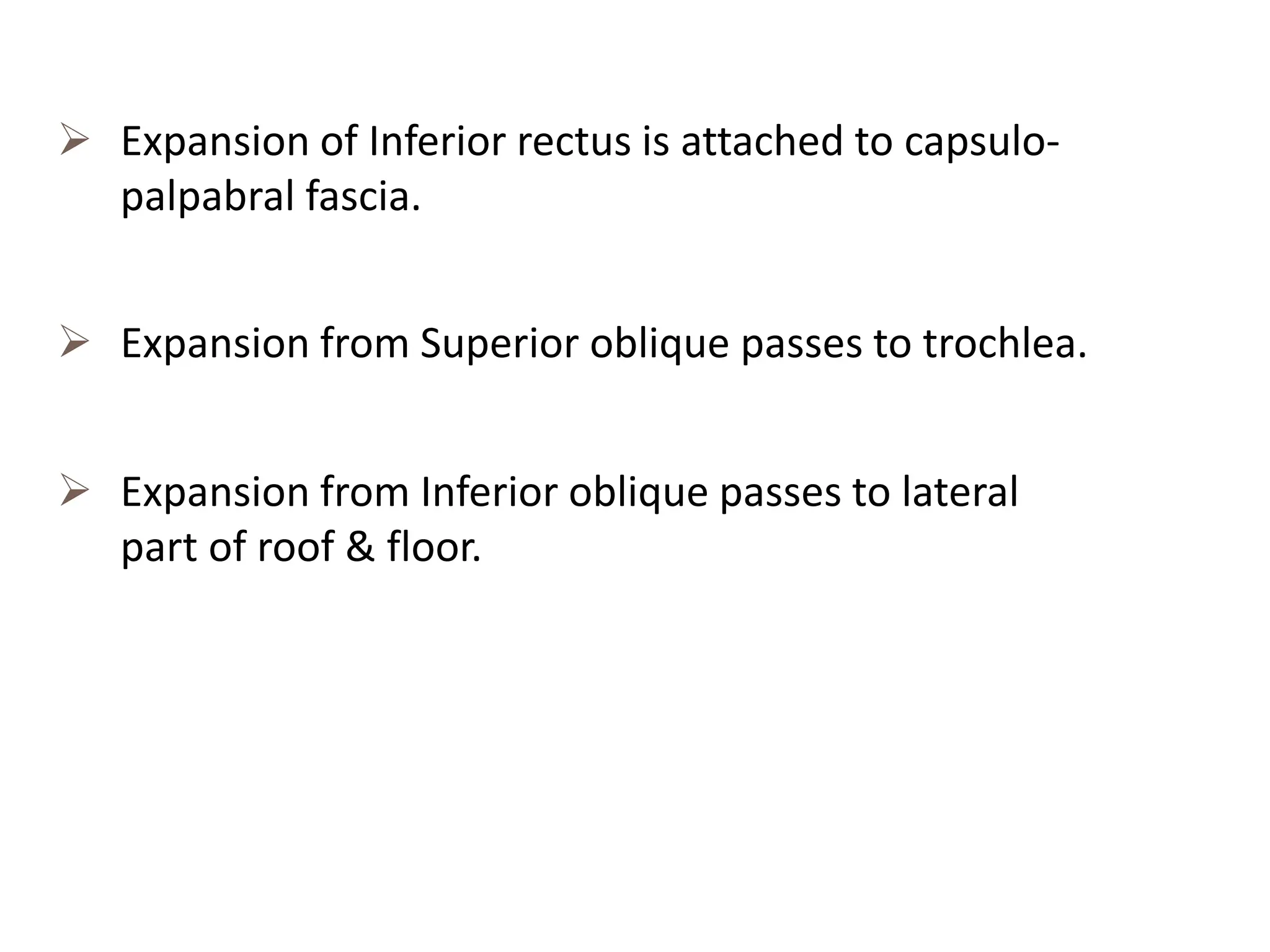 Anatomy of orbit and its clinical applications. | PPTX