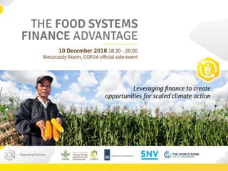 Food Systems Finance Advantage: Addressing the financing Gap - Andre de Jager SNV Netherlands Development Organisation