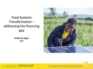 Food Systems Finance Advantage: Addressing the financing Gap - Andre de Jager SNV Netherlands Development Organisation