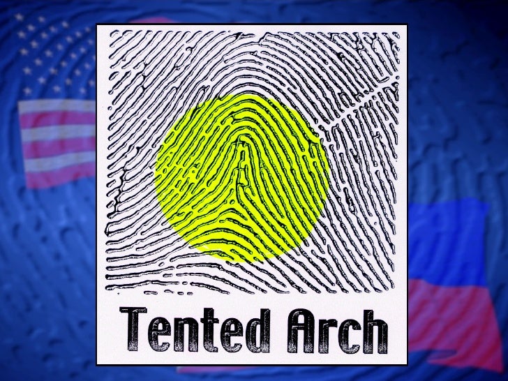 arch fingerprint arch fingerprint
