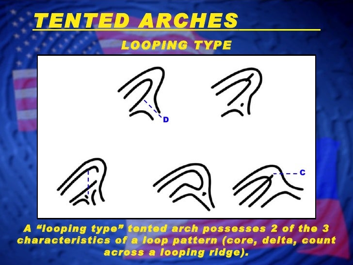 Fingerprint Classification Arch Patterns