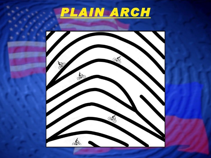 Fingerprint Classification - Arch Patterns