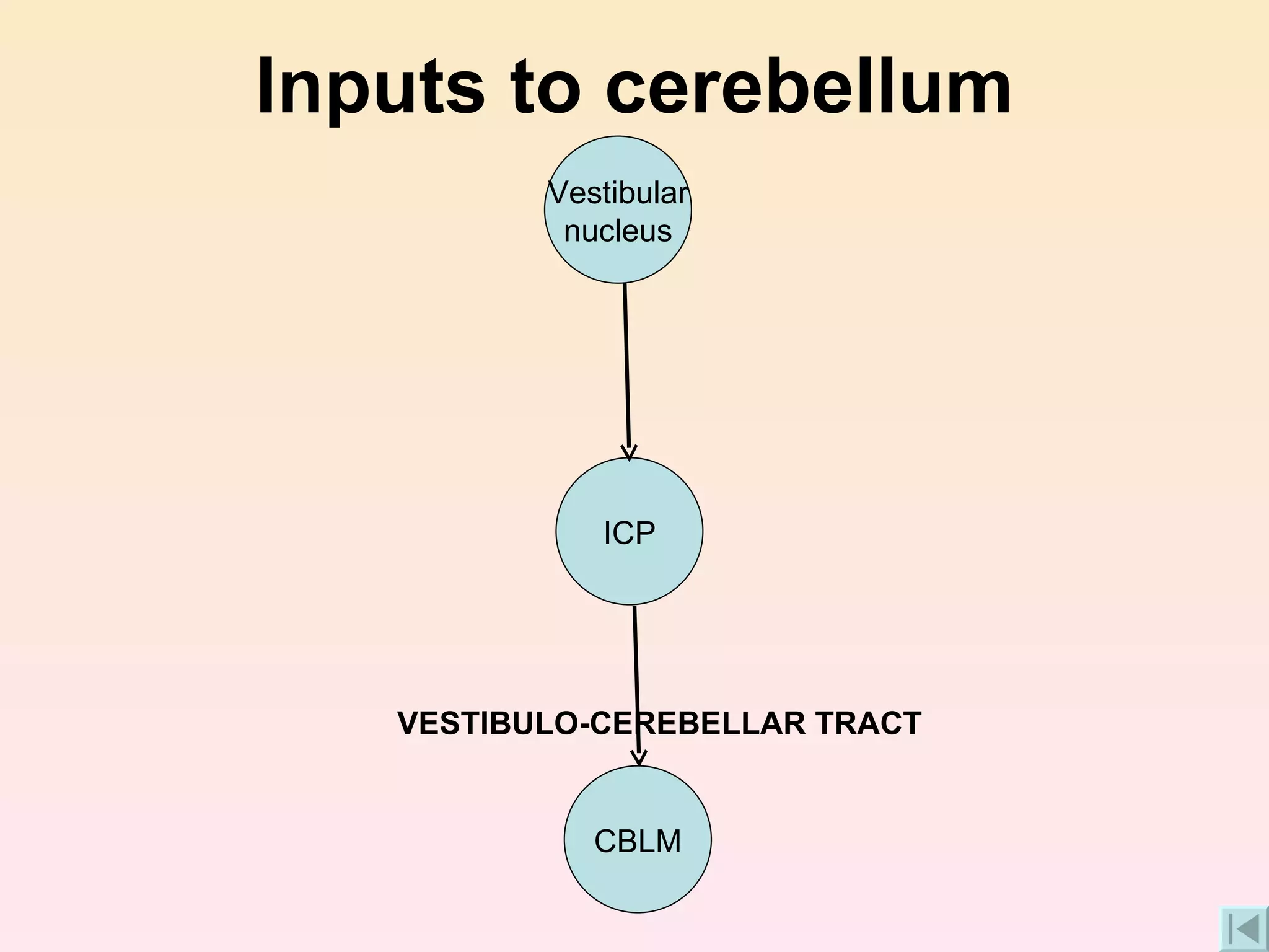 Inputs to cerebellum VESTIBULO-CEREBELLAR TRACT CBLM ICP Vestibular nucleus 