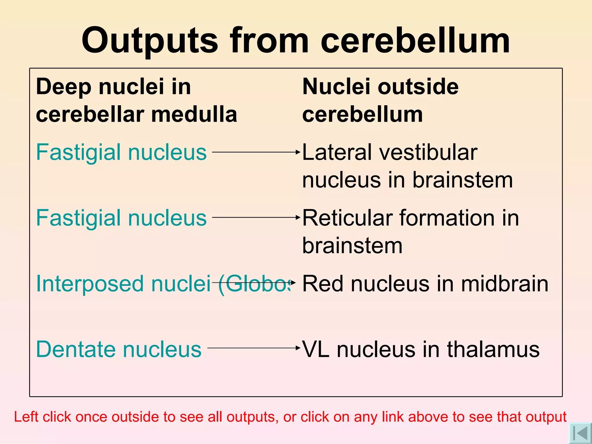 Outputs from cerebellum Left click once outside to see all outputs, or click on any link above to see that output VL nucleus in thalamus Dentate nucleus Red nucleus in midbrain Interposed nuclei (Globose, Emboliform) Reticular formation in brainstem Fastigial nucleus Lateral vestibular nucleus in brainstem Fastigial nucleus Nuclei outside cerebellum Deep nuclei in cerebellar medulla 