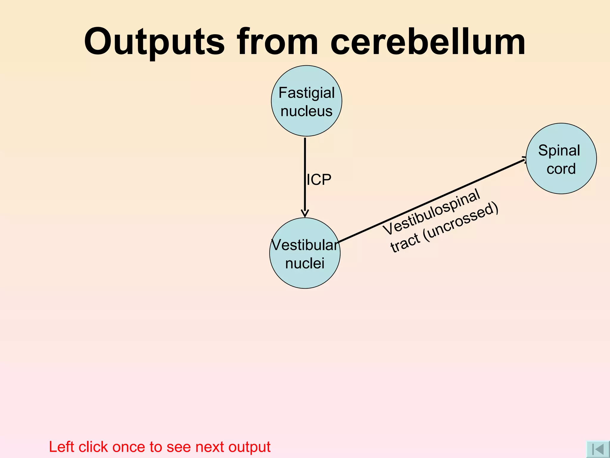 Outputs from cerebellum ICP Vestibulospinal tract (uncrossed) Left click once to see next output Spinal  cord Fastigial nucleus Vestibular nuclei 