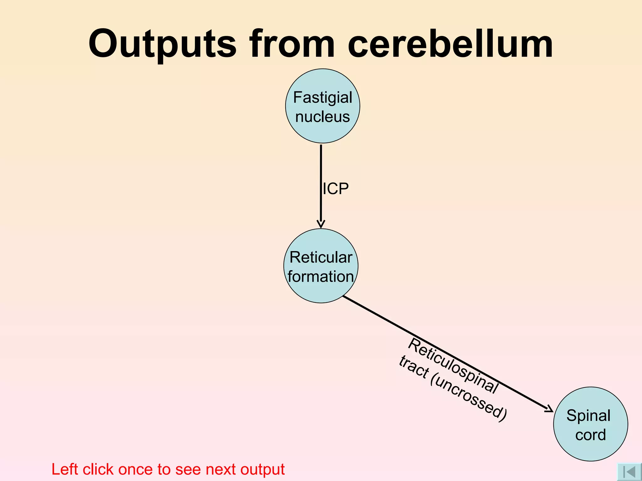 Outputs from cerebellum ICP Reticulospinal tract (uncrossed) Left click once to see next output Spinal  cord Fastigial nucleus Reticular formation 