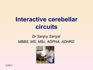 Interactive cerebellar circuits Dr Sanjoy Sanyal MBBS, MS, MSc, ADPHA, ADHRD 