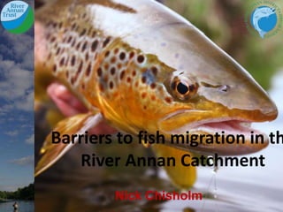 Nick Chisholm
Barriers to fish migration in th
River Annan Catchment
 