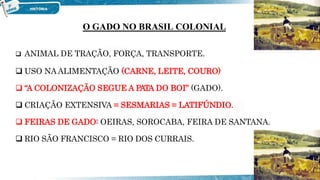 2º ANO - 1.5 - [EXPANSÃO COLONIAL - PECUÁRIA].pptx