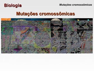 BiologiaBiologia Mutações cromossômicas
Mutações cromossômicasMutações cromossômicas
 