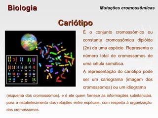 BiologiaBiologia Mutações cromossômicas
CariótipoCariótipo
É o conjunto cromossômico ou
constante cromossômica diplóide
(2n) de uma espécie. Representa o
número total de cromossomos de
uma célula somática.
A representação do cariótipo pode
ser um cariograma (imagem dos
cromossomos) ou um idiograma
(esquema dos cromossomos), e é ele quem fornece as informações substanciais
para o estabelecimento das relações entre espécies, com respeito à organização
dos cromossomos.
 
