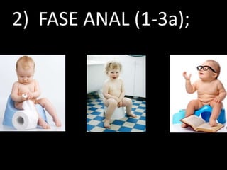 2) FASE ANAL (1-3a);
 