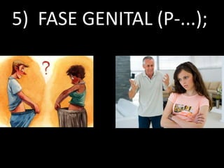 5) FASE GENITAL (P-...);
 