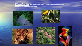 • Equatorial = ocorre na Zona Climática mais quente do
planeta: na linha do Equador.
 