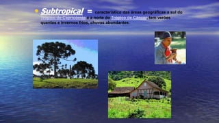 • Subtropical = característico das áreas geográficas a sul do
Trópico de Capricórnio e a norte do Trópico de Câncer, tem verões
quentes e invernos frios, chuvas abundantes.
 