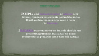 ESTEPE é uma formação vegetal de planície sem
árvores, composta basicamente por herbáceas. No
Brasil, conhecemos as estepes com o nome
de Caatinga
PRADARIA ocorre também em áreas de planície mas
predomina gramíneas mais altas. No Brasil
conhecemos as pradarias com o nome de pampas.
 