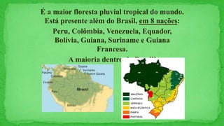 É a maior floresta pluvial tropical do mundo.
Está presente além do Brasil, em 8 nações:
Peru, Colômbia, Venezuela, Equador,
Bolívia, Guiana, Suriname e Guiana
Francesa.
A maioria dentro do Brasil!
 
