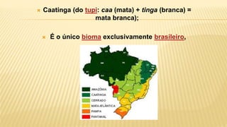  Caatinga (do tupi: caa (mata) + tinga (branca) =
mata branca);
 É o único bioma exclusivamente brasileiro,
 