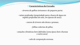 Características do Cerrado:
- árvores de galhos tortuosos e de pequeno porte;
- raízes profundas (propriedade para a busca de água em
regiões profundas do solo, em épocas de seca);
- cascas de árvores são duras e grossas;
- folhas cobertas de pêlos;
- estações climáticas bem definidas (uma época bem chuvosa
e outra seca)
- solo de composição arenosa.
 