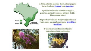 A Mata Atlântica além do Brasil, abrange parte
do território do Paraguai e da Argentina.
Apresentam árvores com folhas largas e
perenes. Abriga árvores que atingem de 20 a
30 metros de altura.
Há grande diversidade de epífitas (plantas que
vivem sobre outras plantas) como bromélias e
orquídeas.
O bioma vem sendo destruído com
desmatamentos e queimadas.
 