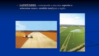  LATIFÚNDIO – corresponde a uma área superior a
seiscentas vezes o módulo rural para a região.
 